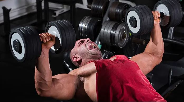 CHEST PRESS WITH DUMBBELLS
