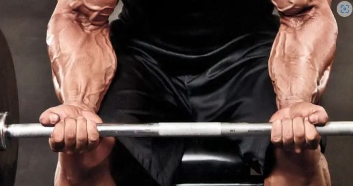 CURL OF FOREARMS WITH DUMBBELL CURL OF FOREARMS WITH DUMBBELL