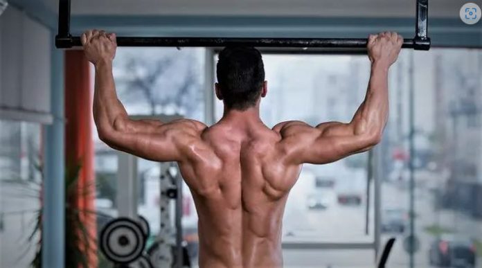 PULL-UPS IN FIXED BAR